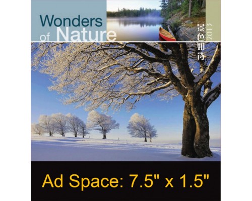 Desk Calendar DC21
